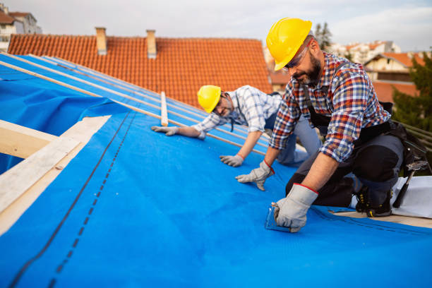 Best Metal Roofing Contractor  in Baldn, WI